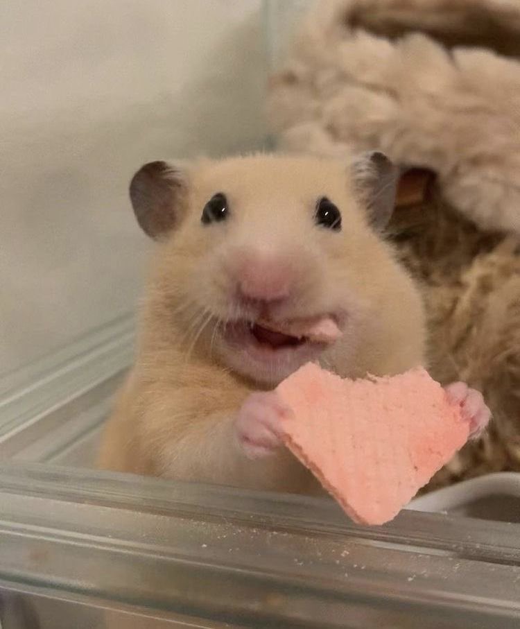 청주한 tweet media