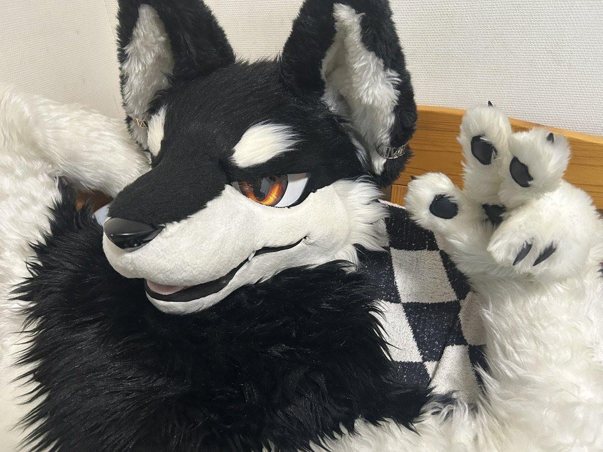 幸せ🫠
もふが気持ちよすぎた

#FursuitEveryday