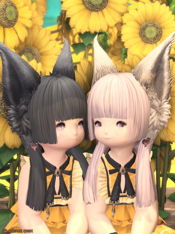 猫になりたい様。専用です( ◠‿◠ ) んにゃねこ🐾𝓐𝓼𝓾𝓻𝓪 on X: 