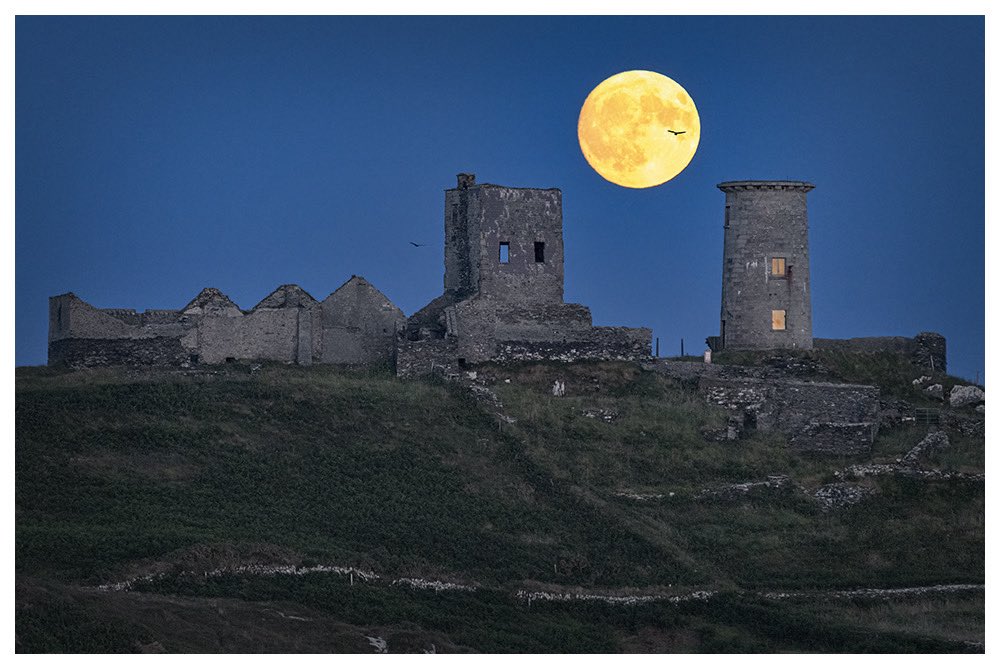 I’ve tried for years to capture the full moon rising behind these towers on Cape Clear. As I saw it come over the horizon I began to laugh manically, knowing it had finally worked out…

#CapeClear #OileánChléire #Ireland #WestCork #FullMoon #BuckMoon