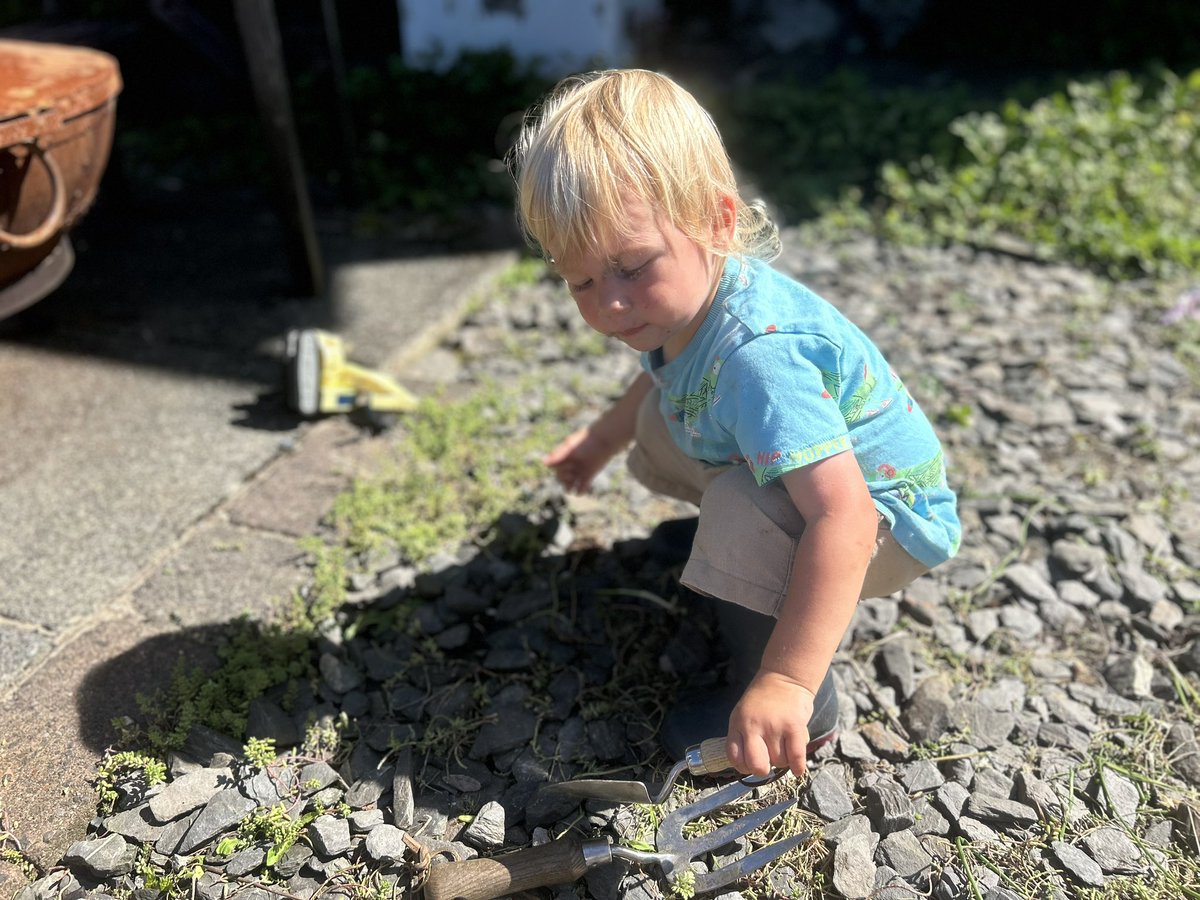 Cashing in on free labour 👌 🪏