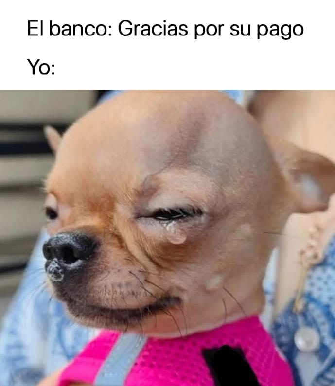 Memes Universidad Nacional (@nacional_memes) on Twitter photo 