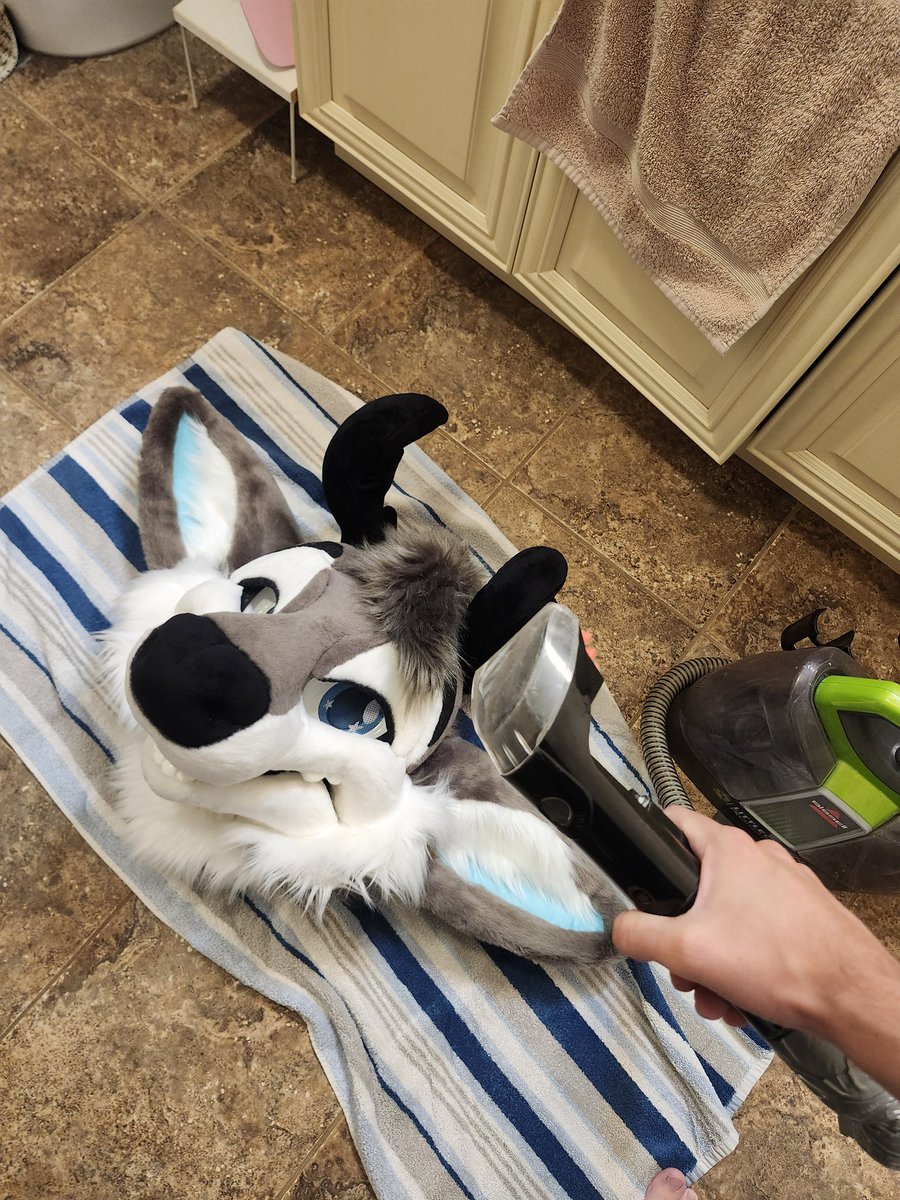 Get cleaned idiot