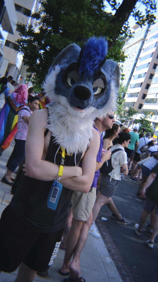 🐶✨️Star✨️🏳️🌈 (@staradder8) on Twitter photo Would you go to a furry owned game store or amusement park? I need a business idea for when I become rich...
#furryfandom Would you go to a furry owned game store or amusement park? I need a business idea for when I become rich...
#furryfandom