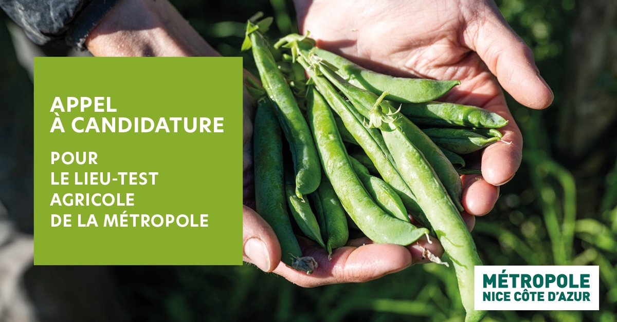 🌱 Vous rêvez de vous lancer en maraîchage bio ?

Testez votre projet grandeur nature avec le Lieu Test Agricole Métropolitain jusqu'à 3 ans ! 🫛

➡️ Candidatez jusqu’au 31 août

👉 nicecotedazur.org/actualites/app…

#NiceCotedAzur