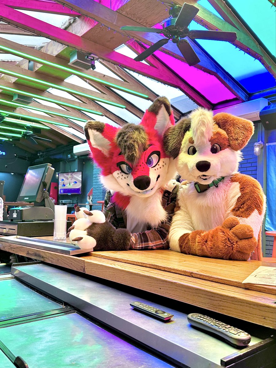 dcfurmeet's tweet image. Fur Meet. Today. 2 PM. Pitchers DC.