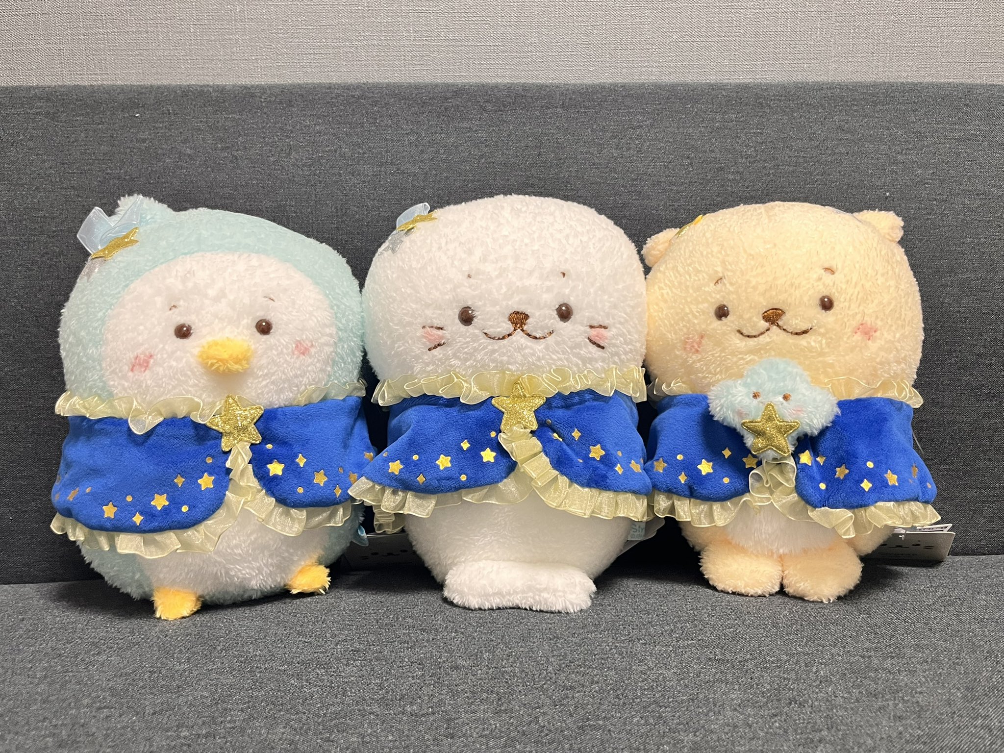ころたん おうちでネットメロン ころたん｜タネ・苗・園芸用品・農業用