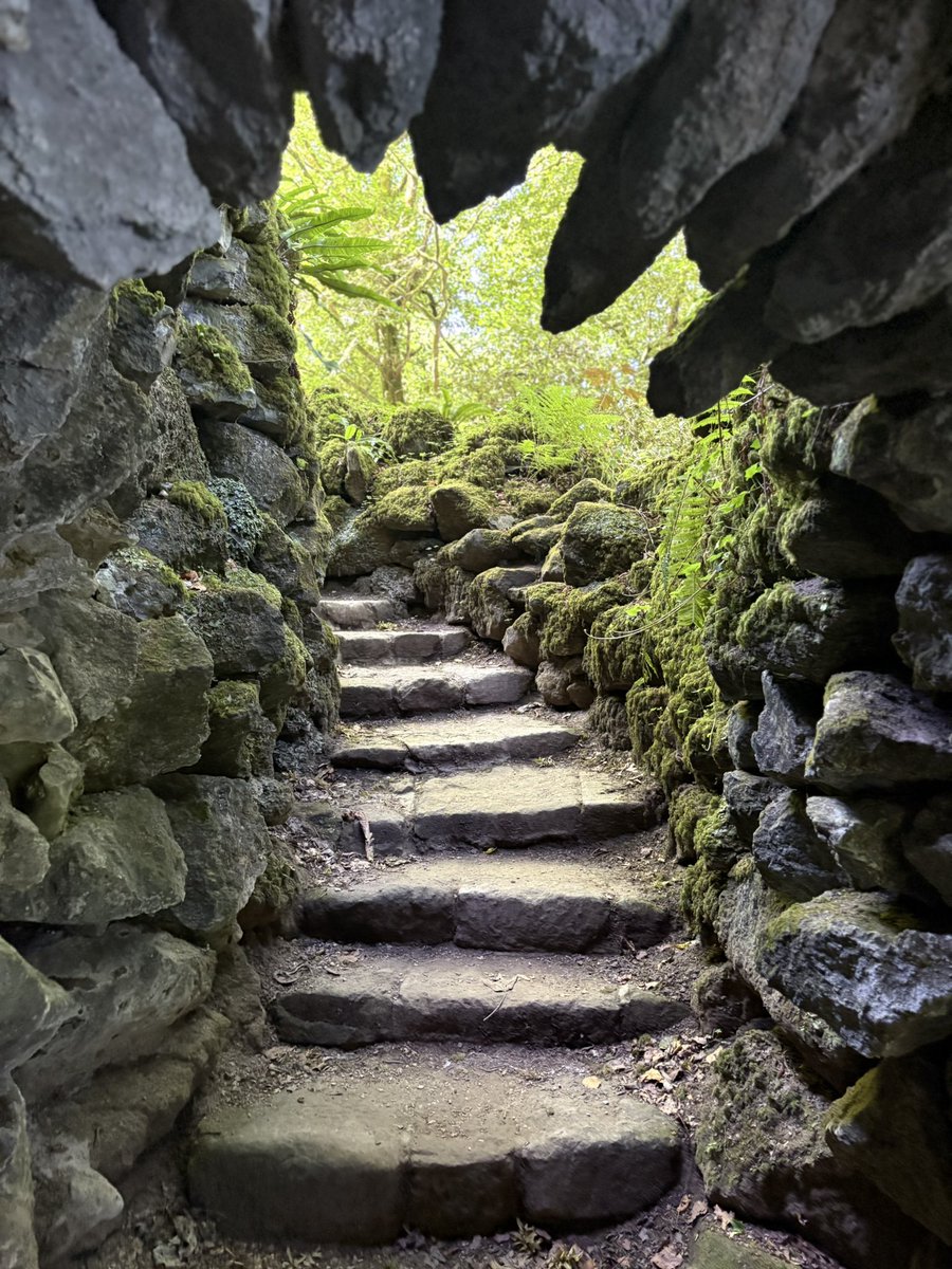 lanaoyvey's tweet image. To live in England is akin to loving an abusive man who is cruel most of the time, but in the rare event he treats you well, he’s extra love-bomby