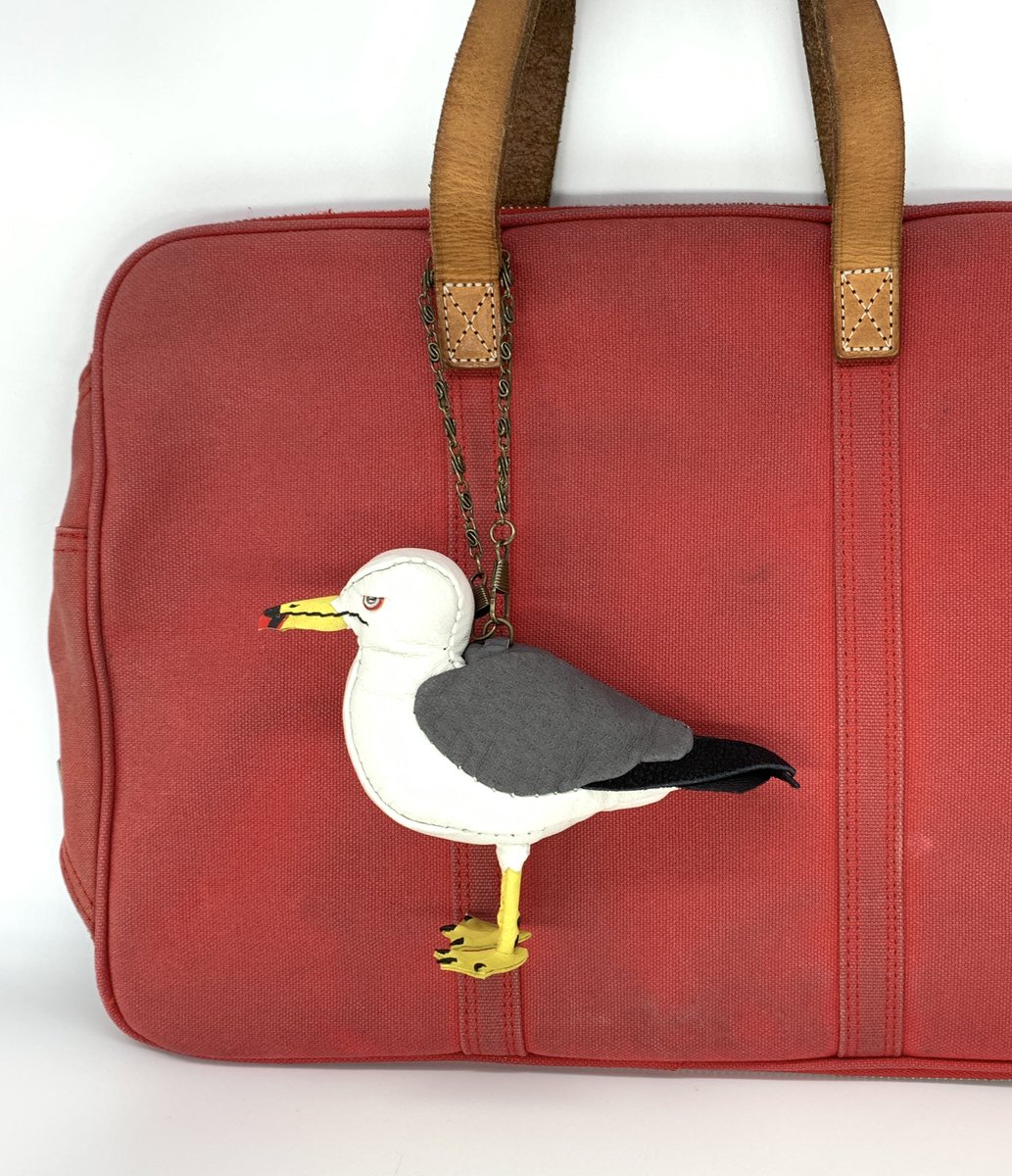 あまのじゃくとへそまがり　カメ　ケース 商品 – ページ 2 – あまのじゃくとへそまがり