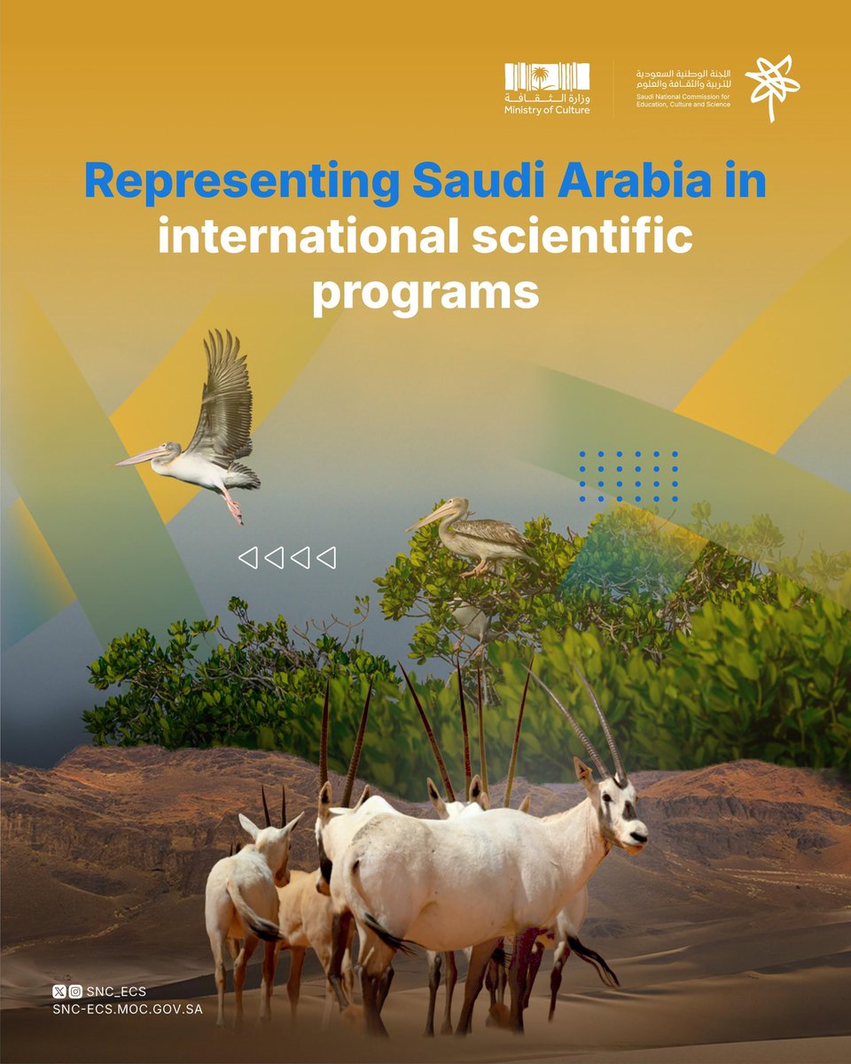 Science Sector: 
towards a deeper understanding of our planet through exploring nature, protecting wildlife, and preserving the geological heritage that embodies Earth’s memory
#Saudi_National_Committee_for_Education_Culture_and_Science #Connecting_with_the_World