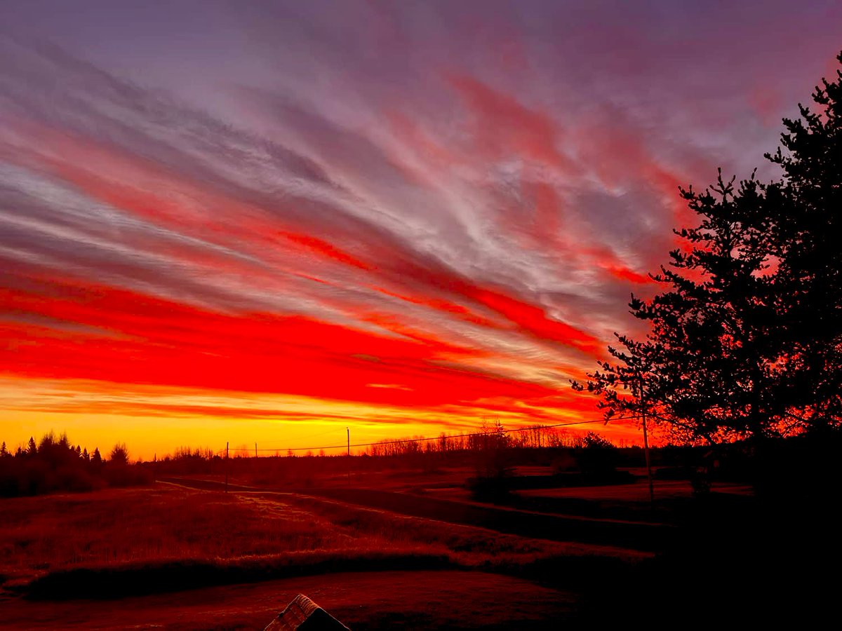 louisedbegin's tweet image. Happy Saturday youzzzz 🥰

🌞 Goooood morning fam ! 🎶

Happy birthday to our incredible @DanVibes10 🎉🥳 🥰🤩🙌
Wishing you the best celebration today and a future filled with love, joy, and the recognition you truly deserve for all your amazing hard work! You embody…