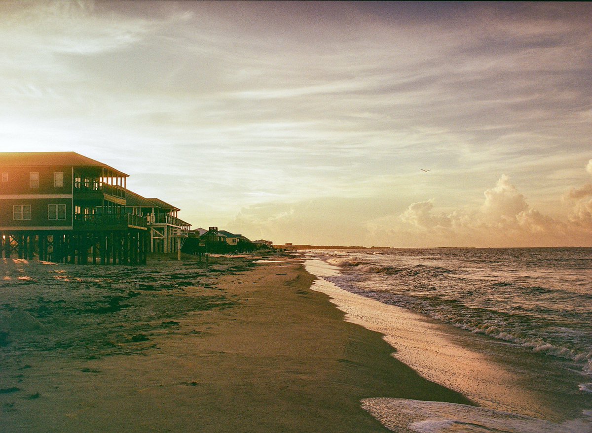 GorillaPhotog's tweet photo. Dauphin Island 🎞️ 
#kodakgold https://t.co/6tpGubbLEn