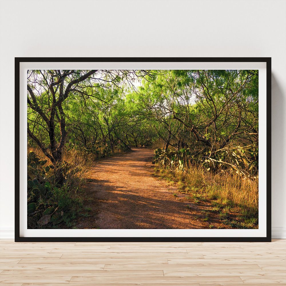 Debra Martz (@debramartz) on Twitter photo Hiking the Camino de Aves Framed Print by Debra Martz debra-martz.pixels.com/featured/hikin…
#hiking #trail #CaminoDeAves #morningLight #sunlight #cacti #scrub #landscape #photography #PhotographyIsArt #BuyIntoArt #AYearForArt #DebraMartz <a href="/DebraMartz/">Debra Martz</a> #giftideas #WallArt #HomeDecor Hiking the Camino de Aves Framed Print by Debra Martz debra-martz.pixels.com/featured/hikin…
#hiking #trail #CaminoDeAves #morningLight #sunlight #cacti #scrub #landscape #photography #PhotographyIsArt #BuyIntoArt #AYearForArt #DebraMartz <a href="/DebraMartz/">Debra Martz</a> #giftideas #WallArt #HomeDecor