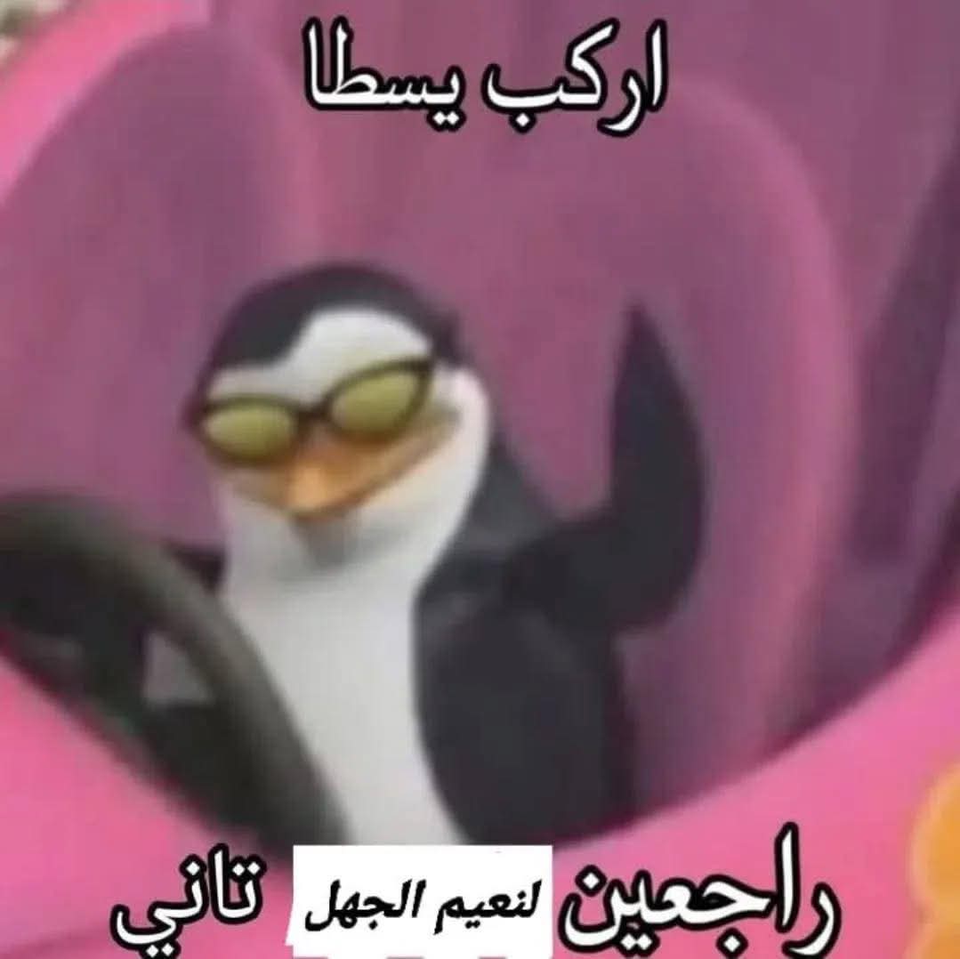 المحقق زيطون (@almh88_zeton) on Twitter photo 