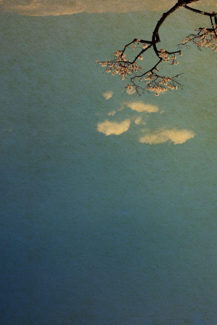 | Unreal Truths |
 //•||
Albarran -Cabrera #photographers