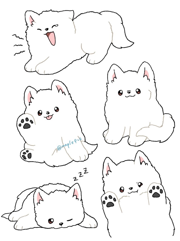 サモエド
