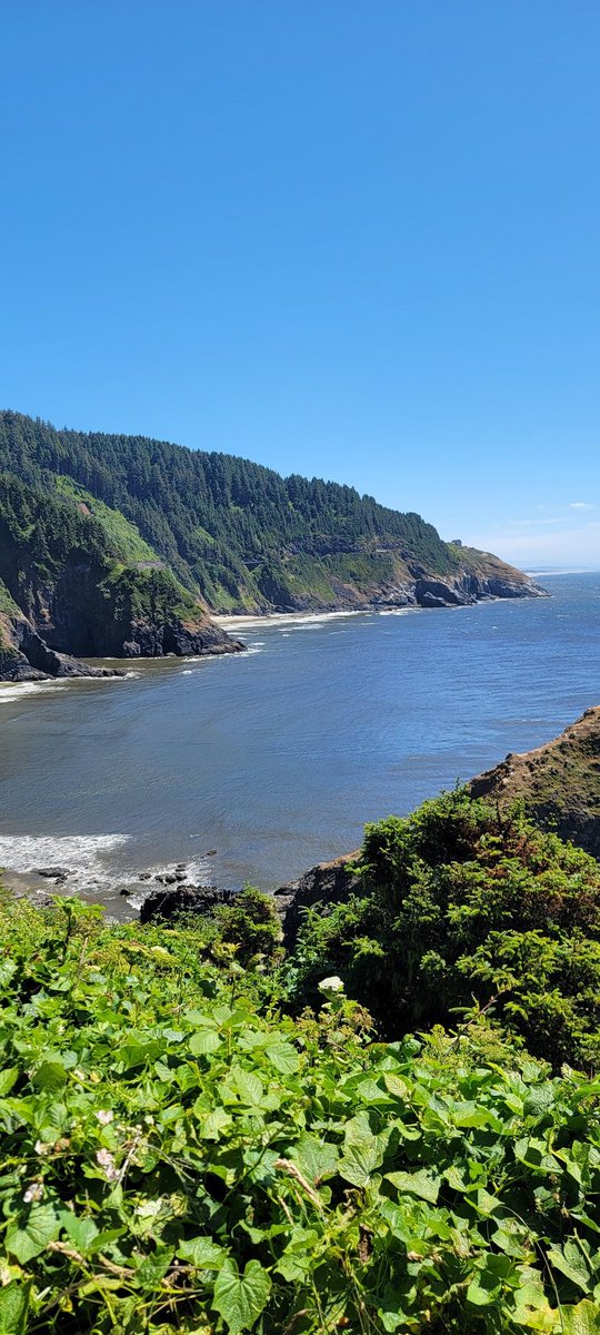 We visited the Oregon coast! Bring a sweatshirt.