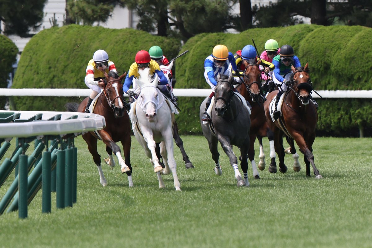 エドガー・ドガ　 　　騎手 競馬場 1台の馬車とアマチュア騎手たち Carriage at the Races