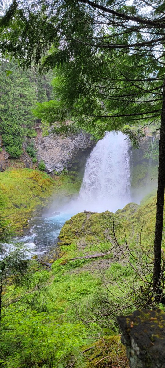 We hiked Sahalie Falls! Beautiful! Enough said.