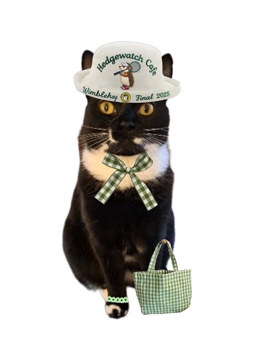 All dressed for the #Hedgewatch  Wimblehog Final. #HWCafe   Thank  mew Mrs. Bear ❤️🐾🤗 <a href="/AnnebrindleAnne/">Rosie, Mrs Bear</a>