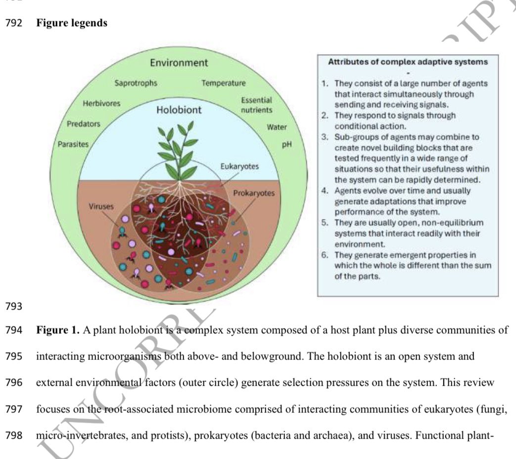 cesarmarin203's tweet image. From 11 News reports in our @ISMEJournal paper “Functional Team Selection” with #NancyCollinsJohnson, this one in @EarthDotCom is the best one!
Eric Ralls: “Plants have microbiomes like humans do, now scientists have learned how they work”
earth.com/news/plants-ha…
#Holobiont