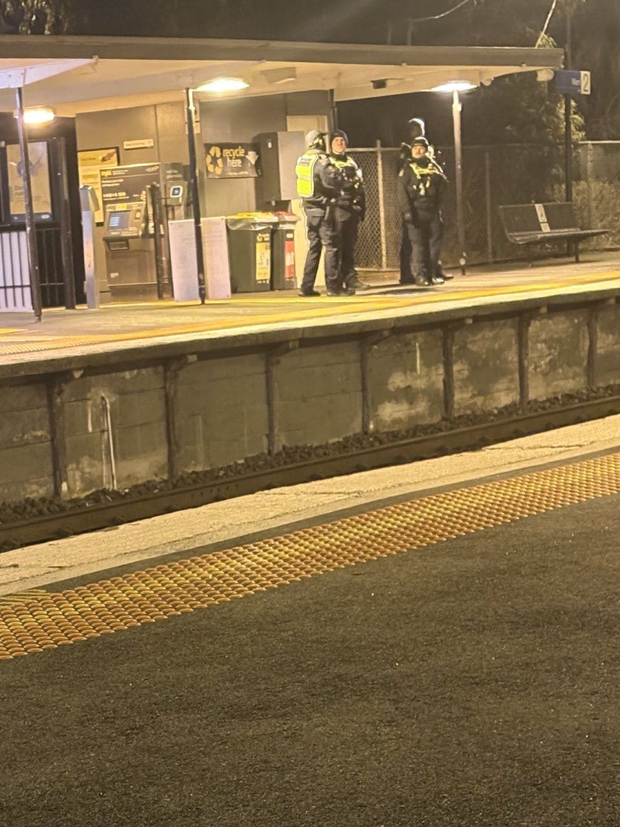 Maddy 🏳️‍⚧️ tweet media