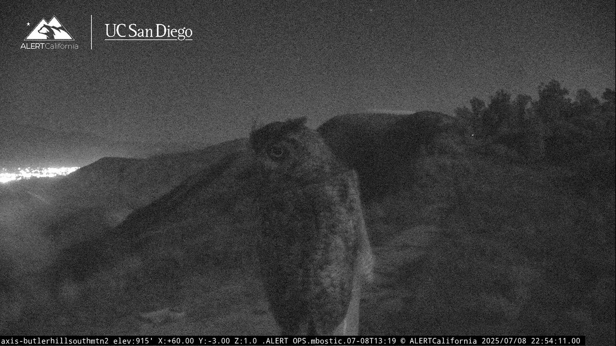 This structure within view of ALERTCalifornia Butler Hill South Mtn 2 camera, east of Ventura, is a bird hotspot. We've seen so many species, including this recent great horned owl. We checked the archive and there was a barn owl sitting in the same place about 3 weeks ago. 🦉