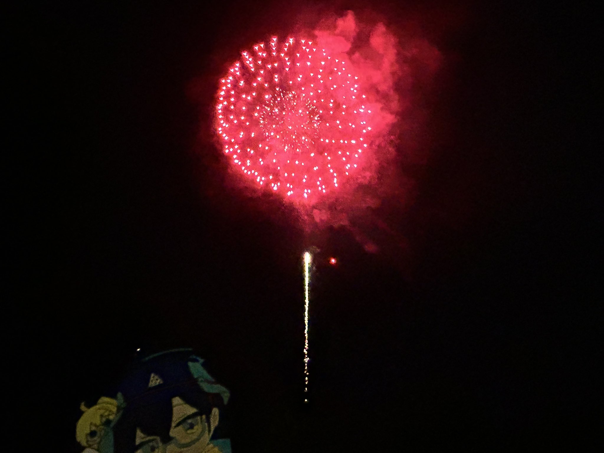 hanabi-model-chart-via-the-