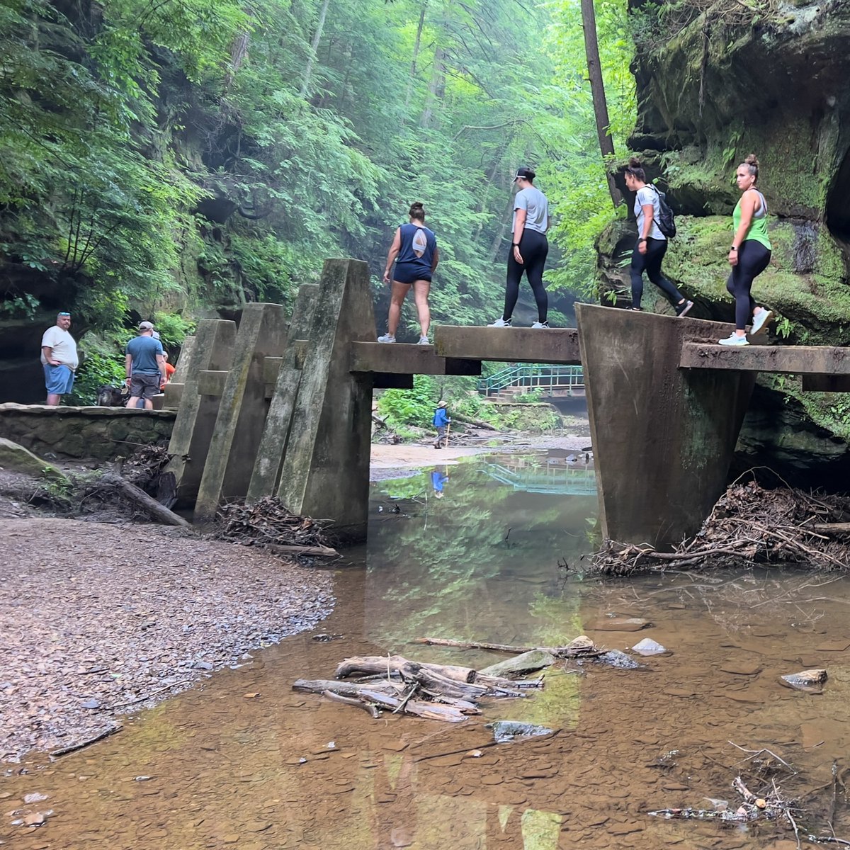 OHStateParks's tweet image. 🎉 145+ events. Just this week. Ohio State Parks = stacked.
From kayaking 🚣♀️ to camp crafts 🎨 to sassafras tea 🍵—there’s something wild waiting for you.
Check “All Events” at ohiostateparks.gov & plan your next adventure 🏞️
#OhioStateParks @ohiodnr @OHHeartofitAll