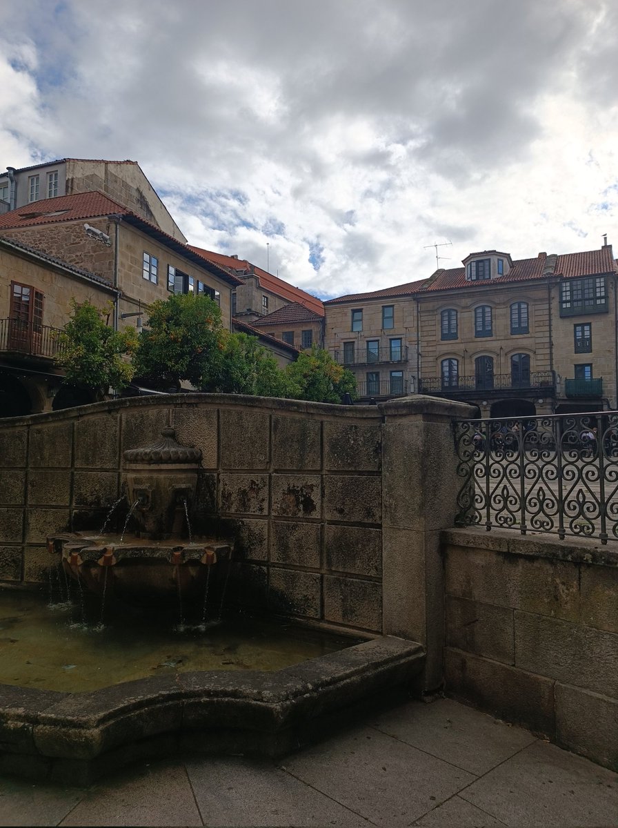 Huge thanks to #ISCB2025 for the excellent organization and inspiring program! 🌿✨ Pontevedra was the perfect setting — beautiful, comfortable, and welcoming. See you at the next one in Tenerife! 💚