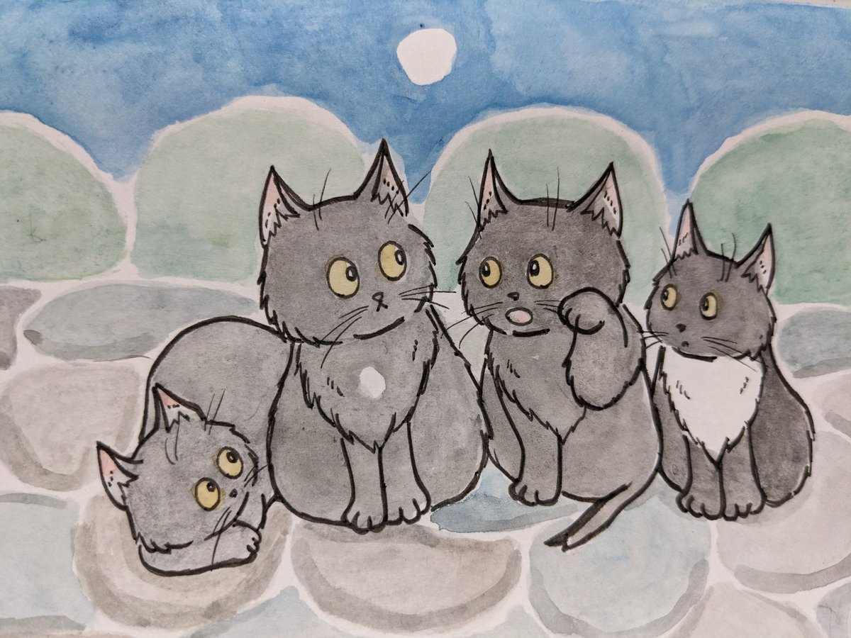 paseri021's tweet image. The meeting of the full moon. 🌕️
 #pasericat