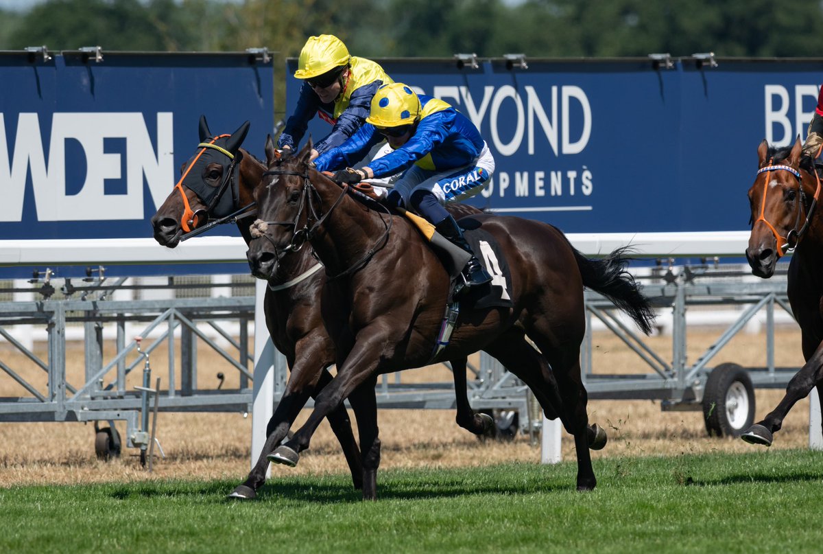 NEVER SO BRAVE wins the Group 2 Cornish Orchards Summer Mile Stakes at Ascot under jockey David Probert for trainer Andrew Balding and owner Saeed Suhail.  

Image Copyright ©️ JTW Equine Images