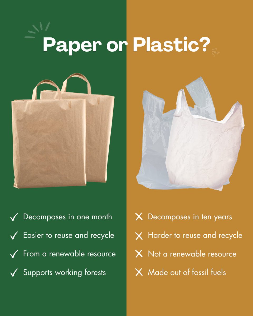 StateForesters's tweet image. Today is World Paper Bag Day! 🛍️ The choice between paper and plastic is easy—paper decomposes quickly, can be recycled, comes from a renewable resource, and supports working forests. 🌳