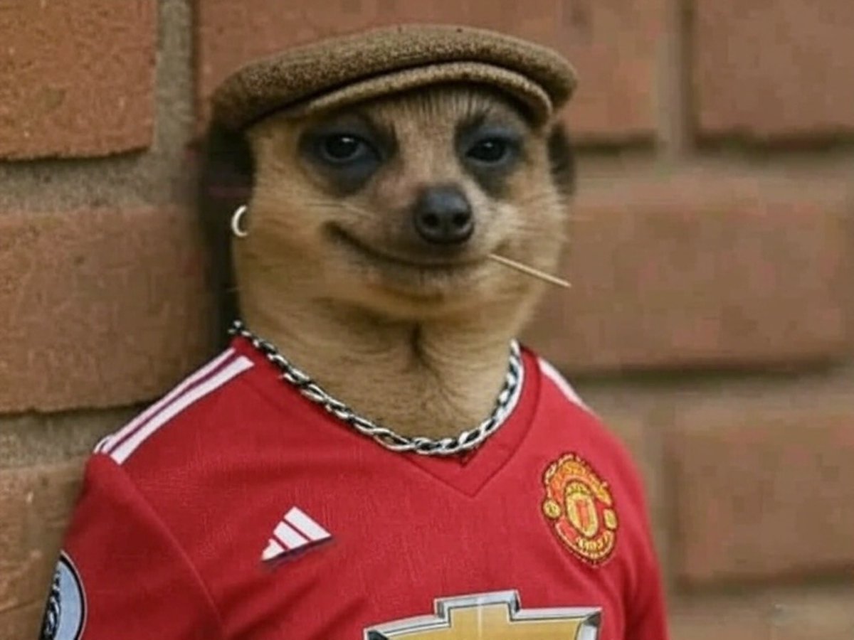 Man United will sign Mbeumo on deadline day so we wouldn’t have to pay him 1 month salary. 

Sir Jim is a cost cutting genius