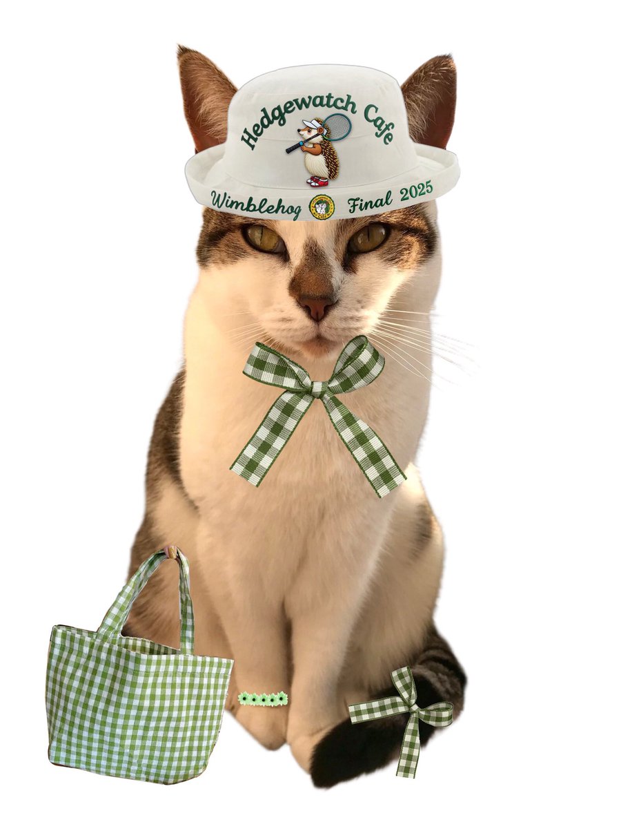#hwcafe happy Caturday 😻🐾 so excited to see everyone 💞
Ready for the tennis event