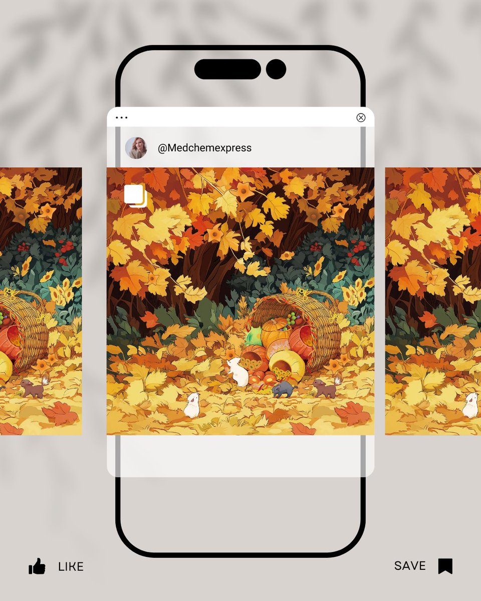 MedChemExpress (@medchemexpress) on Twitter photo 🔬 Science harvest season.🍂What looks like fall foliage hides a world of biology.🧬DNA curls up like pumpkin vines.  Small molecules roll into the basket.🔍Science grows quietly—until discovery comes.
#SciArt #LabMouse #LifeScience #InVivoModel #CellBiology #PreclinicalResearch 🔬 Science harvest season.🍂What looks like fall foliage hides a world of biology.🧬DNA curls up like pumpkin vines.  Small molecules roll into the basket.🔍Science grows quietly—until discovery comes.
#SciArt #LabMouse #LifeScience #InVivoModel #CellBiology #PreclinicalResearch