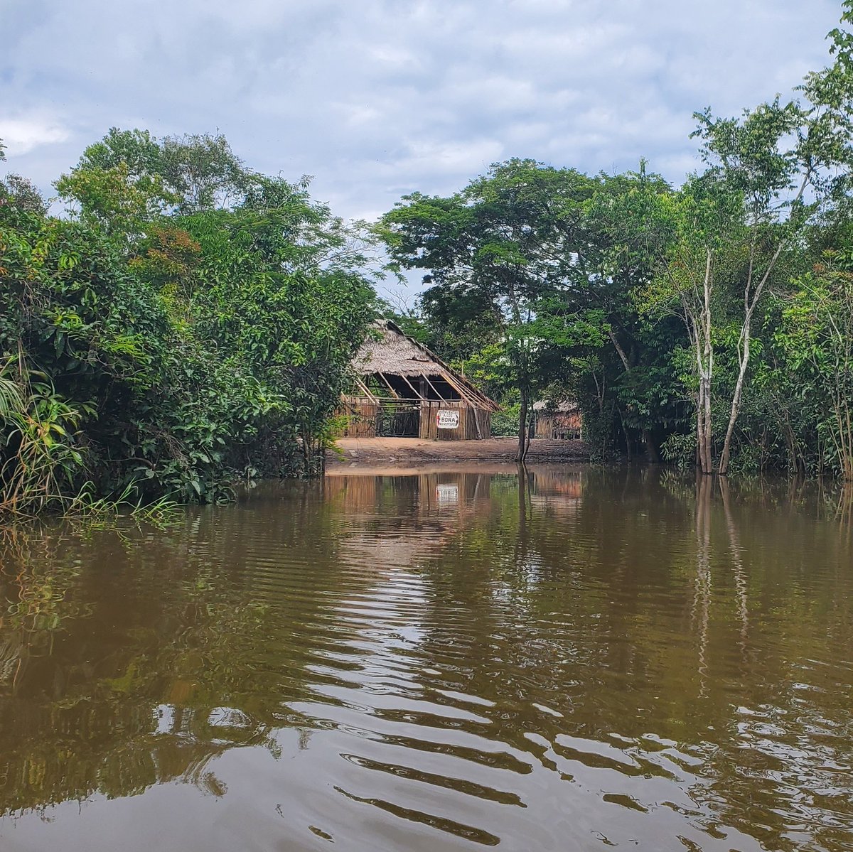 I got to visit the Bora.  They are an indigenous people group that live mainly throughout the Amazon Jungle (Peru, Brazil, and Colombia).