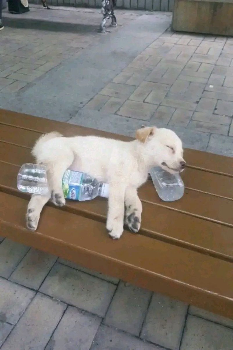 redditboi (@redditboi) on Twitter photo 