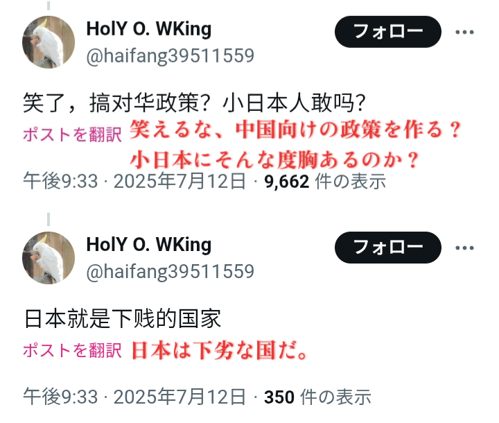 中国人が嘲笑して言う：「小日本にそんな度胸あるのか？」
強硬な議員を選ばなければ、日本人はこれからも中国人に見下され続けるだろう。