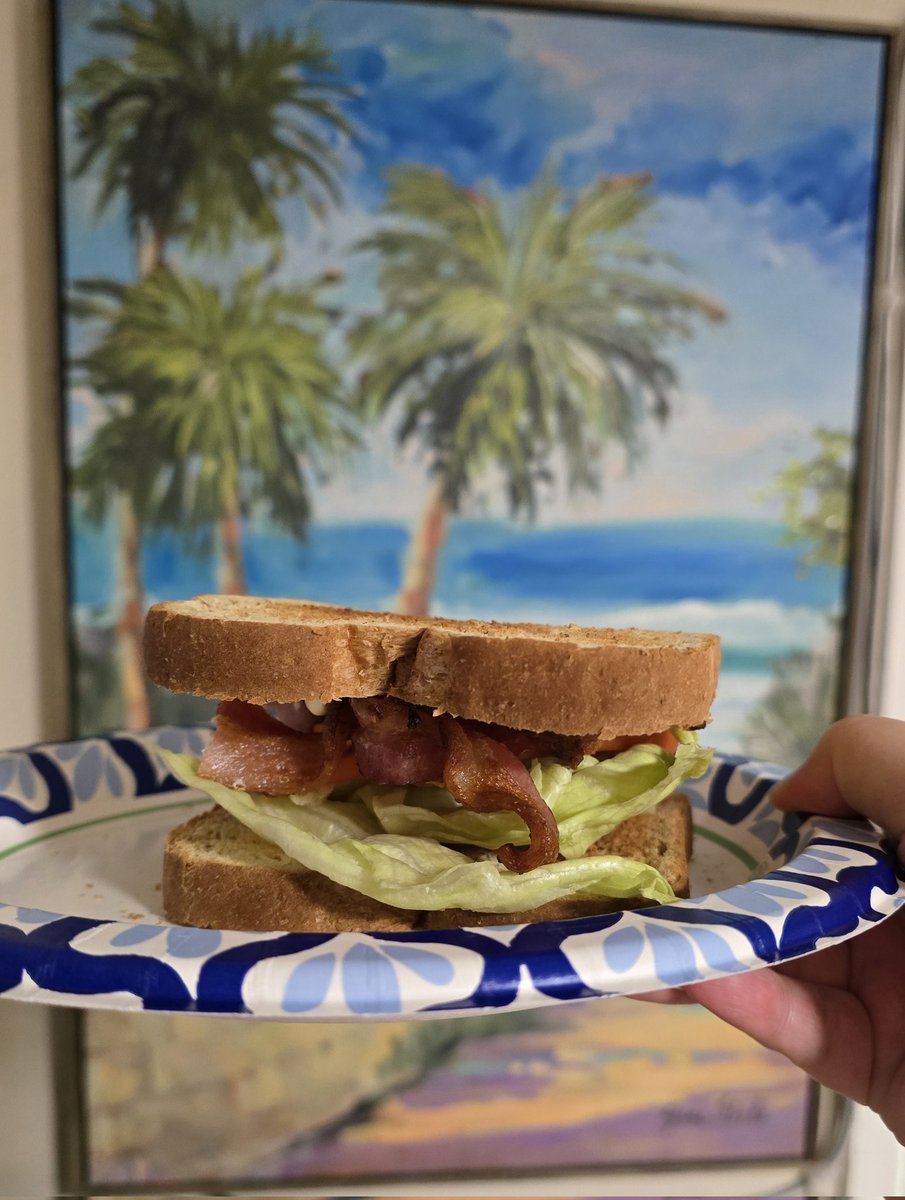 mistymeooww's tweet image. Good morning! #BLT #SaturdayVibes