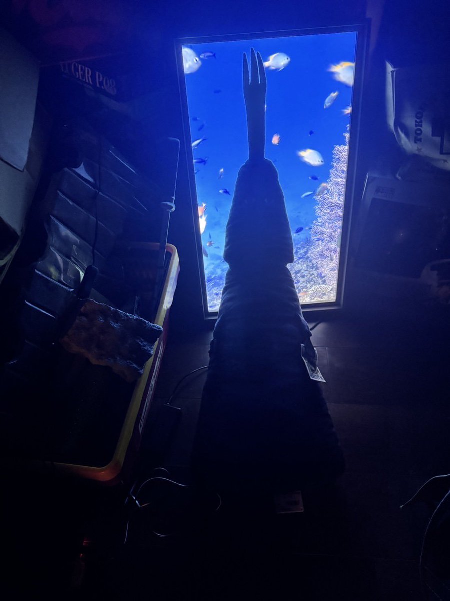 Eiichiro Oda took the Imu plush to see the fish