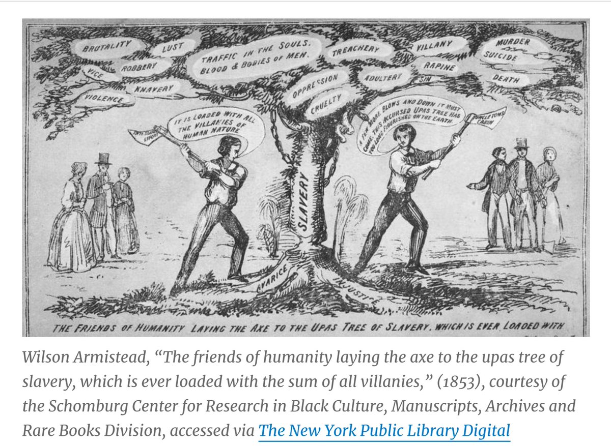 Democrat-controlled southern state legislatures in 19th century also opposed manumission, banning the freedom of slaves as “not what we are all about”
