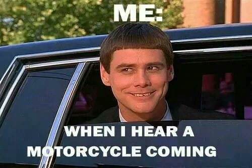 ridinghighhd's tweet image. 🏍️

 #MotoMemes #TwoWheelsFun #BikerLaughs #RiderLife