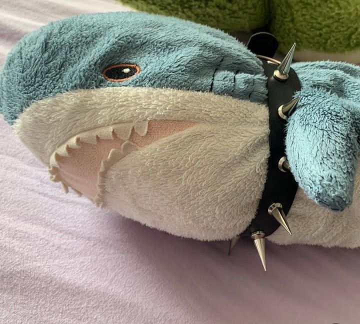 Grexyan_'s tweet image. daily shork