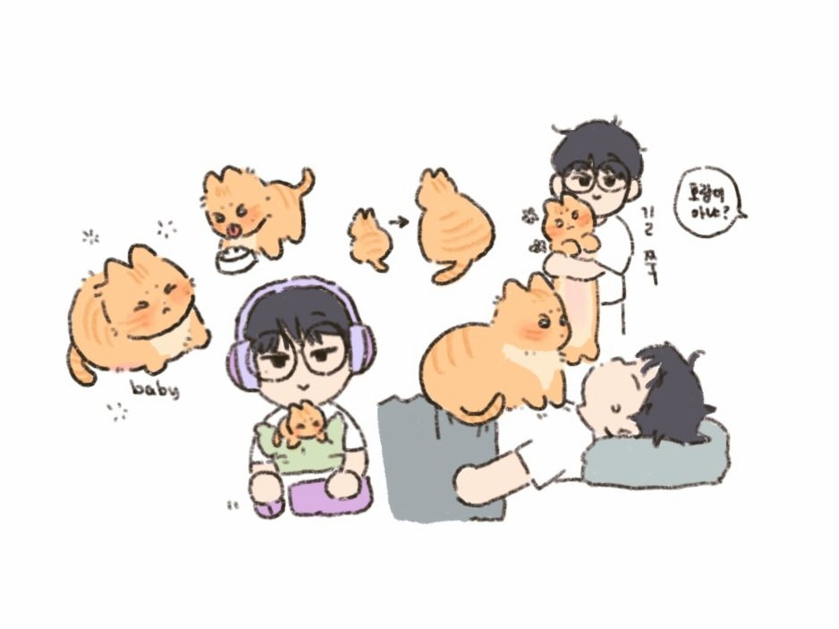 밍냥이는 못참지