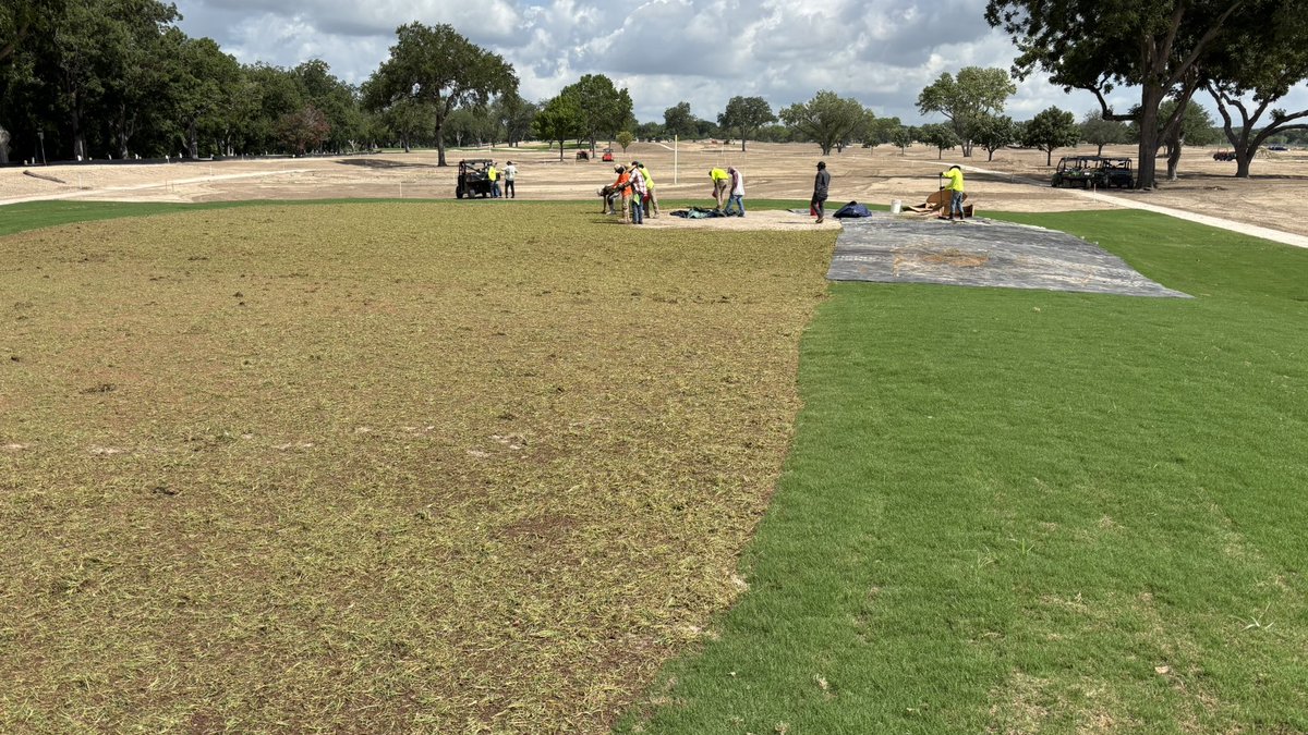 Nathan Crace, ASGCA, PLA (@lipouts) on Twitter photo Some good looking <a href="/PlatinumTE/">Platinum TE Paspalum</a> Paspalum sprigs from <a href="/caneycreekturf/">Caney Creek Turf, LLC</a> going down on the greens at Starcke Park GC in Seguin, Texas! Nice job by <a href="/golf_mid/">Mid-America Golf and Landscape</a> and the whole team, incl. <a href="/QuitnoGolf/">Quitno Golf Designs</a>, <a href="/brianrossgolf/">Brian Ross</a>, <a href="/ian_hwilliams/">Ian H Williams</a>, and <a href="/osteenal1/">osteenal</a>! Photos courtesy of Mid America Golf. 📸 Some good looking <a href="/PlatinumTE/">Platinum TE Paspalum</a> Paspalum sprigs from <a href="/caneycreekturf/">Caney Creek Turf, LLC</a> going down on the greens at Starcke Park GC in Seguin, Texas! Nice job by <a href="/golf_mid/">Mid-America Golf and Landscape</a> and the whole team, incl. <a href="/QuitnoGolf/">Quitno Golf Designs</a>, <a href="/brianrossgolf/">Brian Ross</a>, <a href="/ian_hwilliams/">Ian H Williams</a>, and <a href="/osteenal1/">osteenal</a>! Photos courtesy of Mid America Golf. 📸