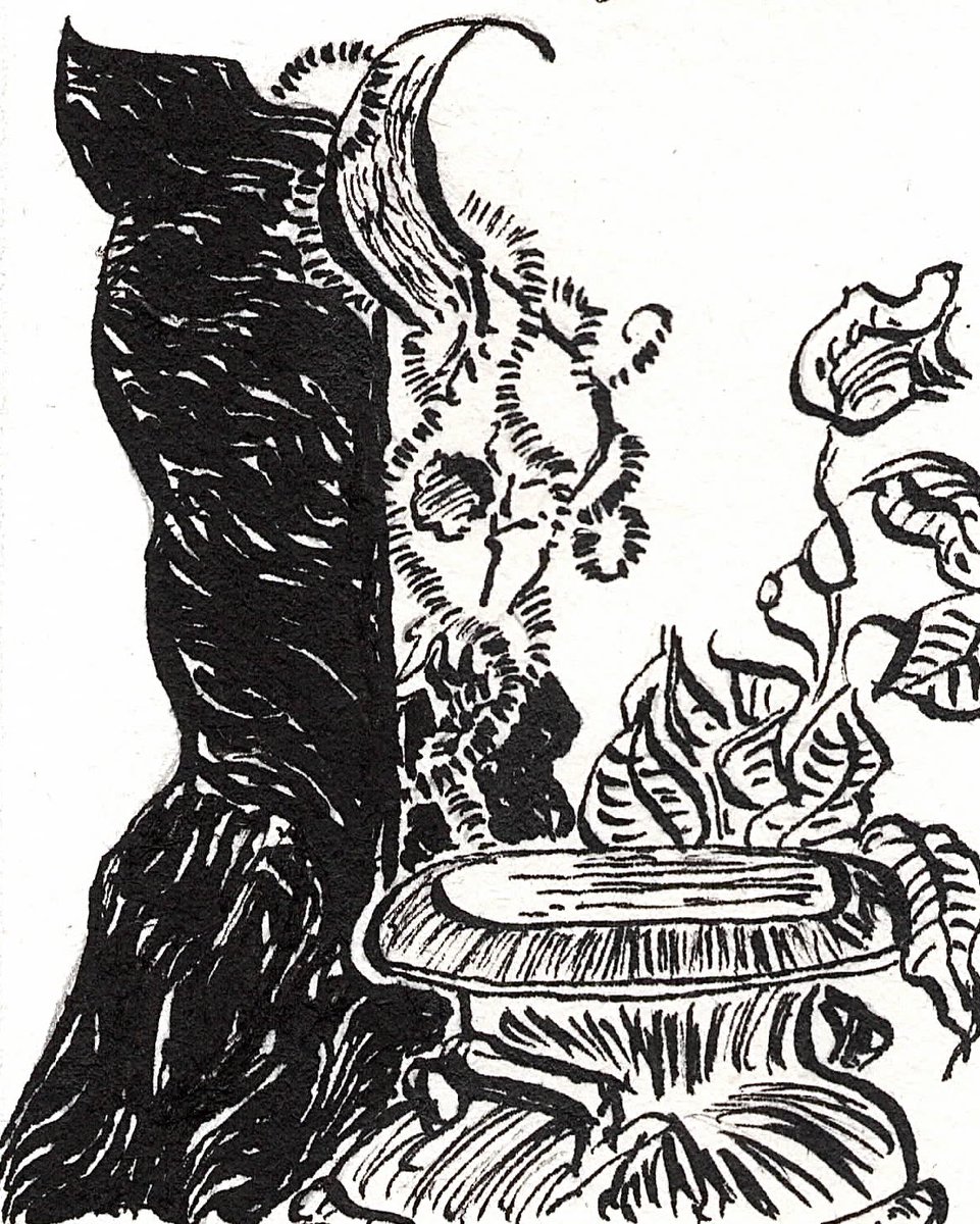 mageillus's tweet image. The Wizard
#mageillus #bullskull