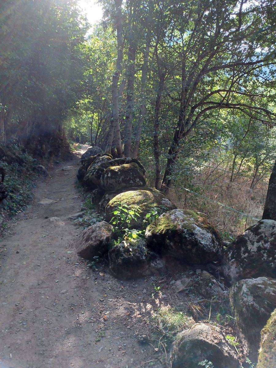 The Witches' Path. In the Aran Valley. Catalonia. Very interesting.💚🧙