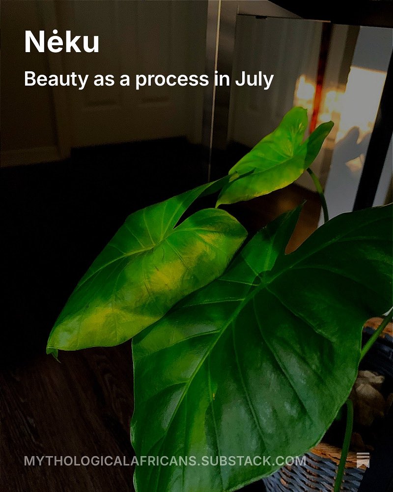 Hello friends! On MA this week, we sauntered into July with a reflection on Nėku, the Mende (Sierra Leone) conception of the emergence, pathway toward, and the eventual culmination of the admirable. Enjoy!