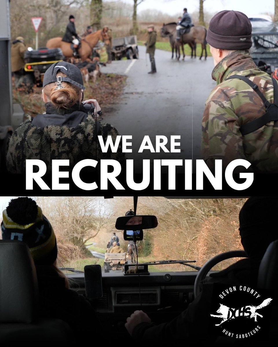 devoncountysabs's tweet image. EXETER RECRUITMENT EVENT
We're holding a recruitment event in Exeter in the evening on Friday 1st August!
Interested in becoming a hunt saboteur? You should be. Because being a sab is awesome, ask any of our sabs. On a serious note, hunt sabotage is not for everyone. (1/3)